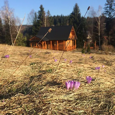 W Gorach Domek alpejski *