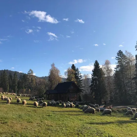 W Gorach نوفه تارخ