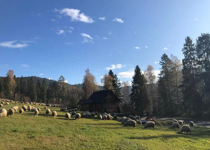 W Gorach נובי טארג